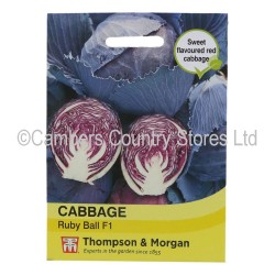 Thompson & Morgan Cabbage Ruby Ball F1 Hybrid